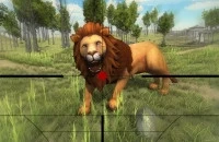 Lion Hunting 3d