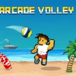 Arcade Volley